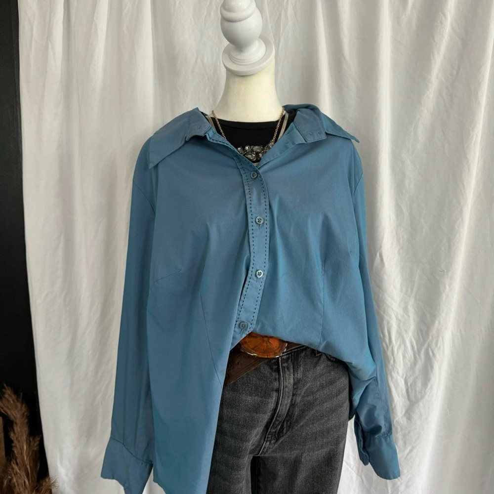Apostrophe- women’s muted iridescent sheen wester button up - 16-18w